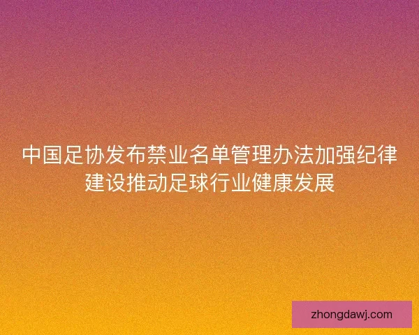 中国足协发布禁业名单管理办法加强纪律建设推动足球行业健康发展